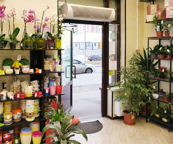 Воздушная завеса Тепломаш КЭВ-П3131А без нагрева